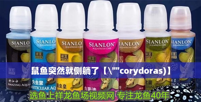 鼠魚突然就側(cè)躺了【\