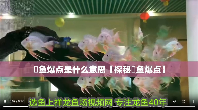 魟魚爆點是什么意思【探秘魟魚爆點】