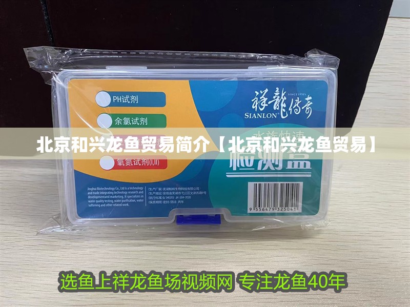 北京和興龍魚貿易簡介【北京和興龍魚貿易】