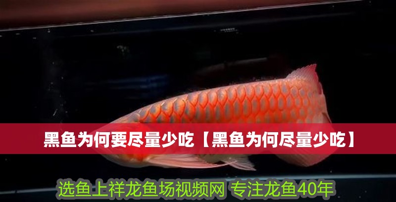黑魚為何要盡量少吃【黑魚為何盡量少吃】