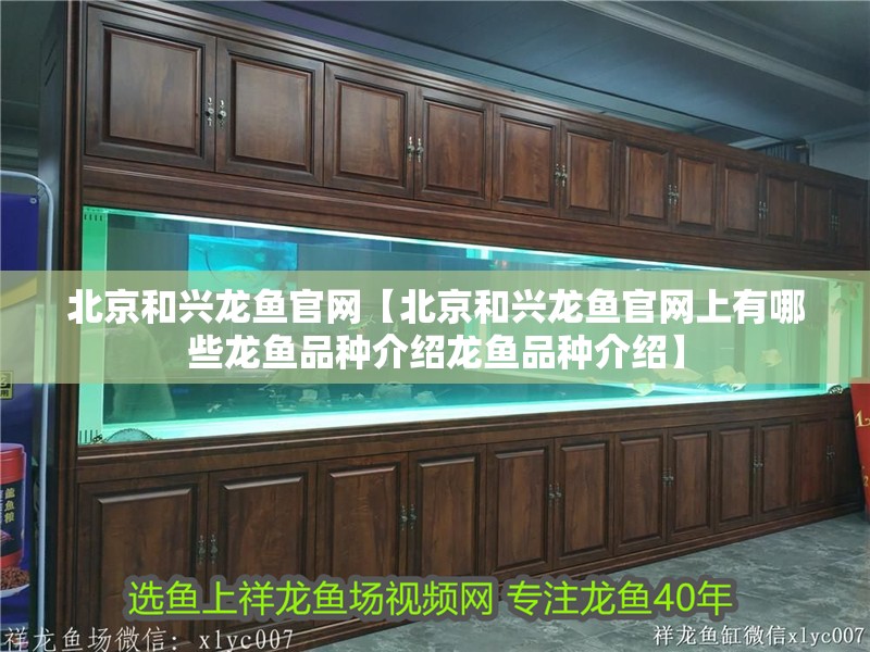北京和興龍魚官網【北京和興龍魚官網上有哪些龍魚品種介紹龍魚品種介紹】