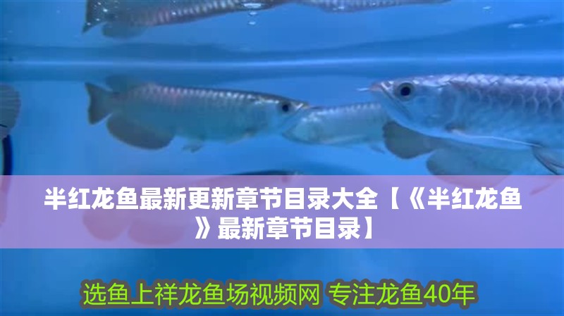半紅龍魚最新更新章節目錄大全【《半紅龍魚》最新章節目錄】