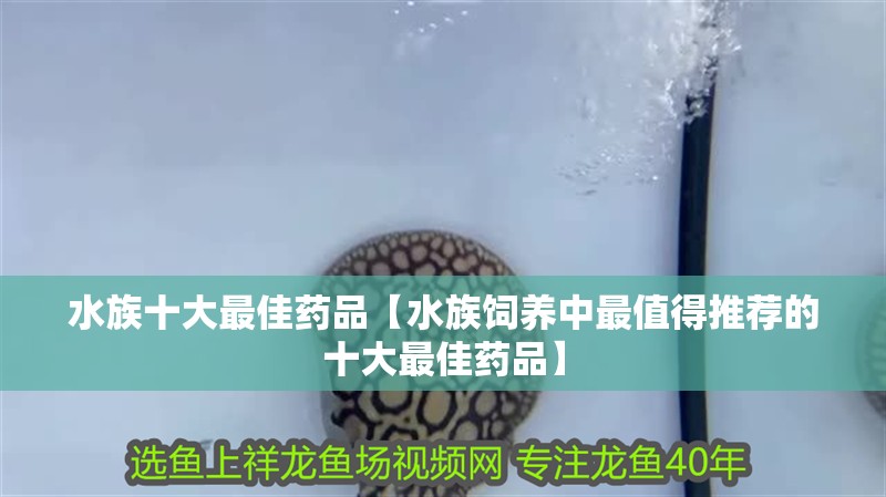 水族十大最佳藥品【水族飼養中最值得推薦的十大最佳藥品】
