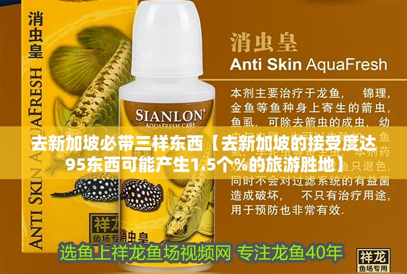 去新加坡必帶三樣?xùn)|西【去新加坡的接受度達(dá)95東西可能產(chǎn)生1.5個(gè)%的旅游勝地】