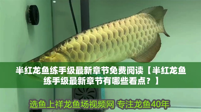魚缸過(guò)濾器選購(gòu)指南:自制魚缸過(guò)濾器魚缸上置過(guò)濾器對(duì)于養(yǎng)魚愛(ài)好者的必備知識(shí) 半紅龍魚練手級(jí)最新章節(jié)免費(fèi)閱讀【半紅龍魚練手級(jí)最新章節(jié)有哪些看點(diǎn)?】 水族問(wèn)答 半紅龍魚練手級(jí)最新章節(jié)免費(fèi)閱讀【半紅龍魚練手級(jí)最新章節(jié)有哪些看點(diǎn)?】 半紅龍魚練手級(jí)最新章節(jié)免費(fèi)閱讀【半紅龍魚練手級(jí)最新章節(jié)有哪些看點(diǎn)?】 水族問(wèn)答