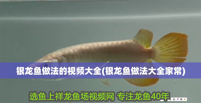 銀龍魚做法的視頻大全(銀龍魚做法大全家常) 銀龍魚百科 第1張 銀龍魚做法的視頻大全(銀龍魚做法大全家常) 銀龍魚做法的視頻大全(銀龍魚做法大全家常) 銀龍魚百科 第1張