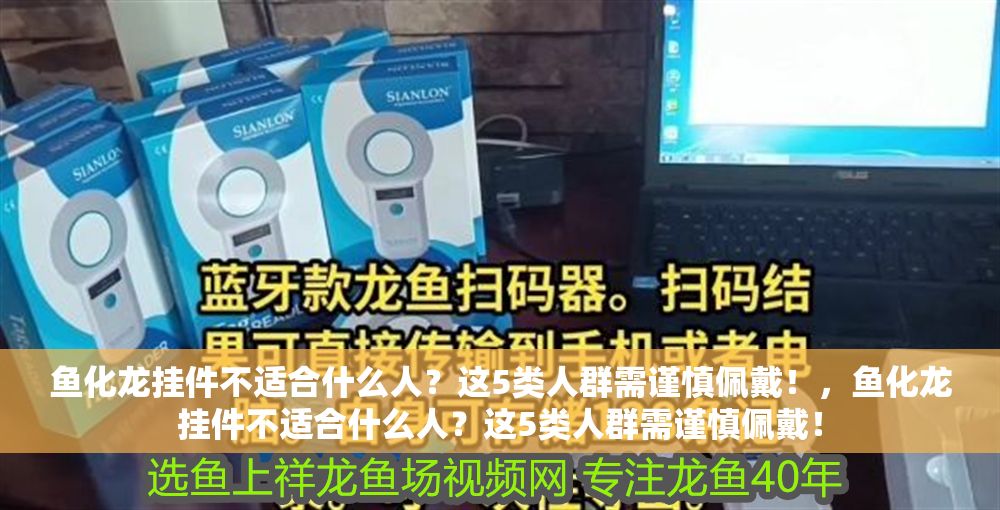 魚化龍掛件不適合什么人？這5類人群需謹慎佩戴！，魚化龍掛件不適合什么人？這5類人群需謹慎佩戴！