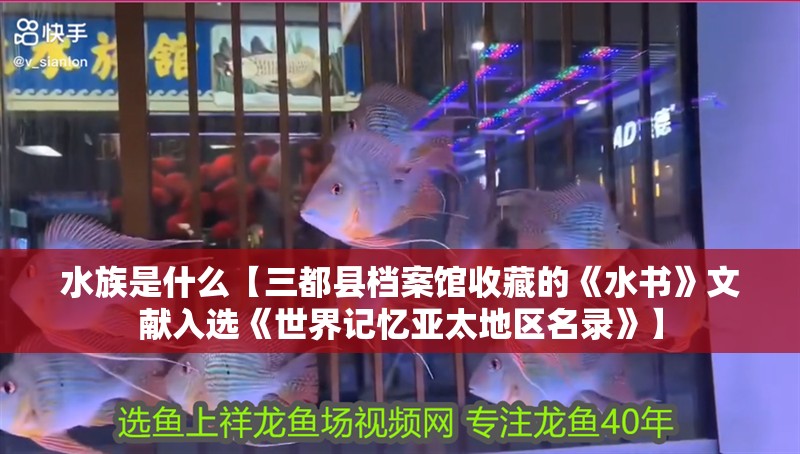 水族是什么【三都縣檔案館收藏的《水書》文獻入選《世界記憶亞太地區(qū)名錄》】