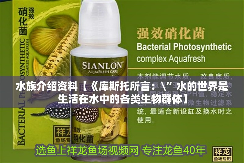 水族介紹資料【《庫(kù)斯托所言：\”水的世界是生活在水中的各類(lèi)生物群體】