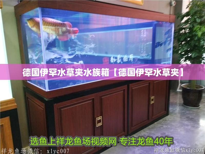 德國伊罕水草夾水族箱【德國伊罕水草夾】