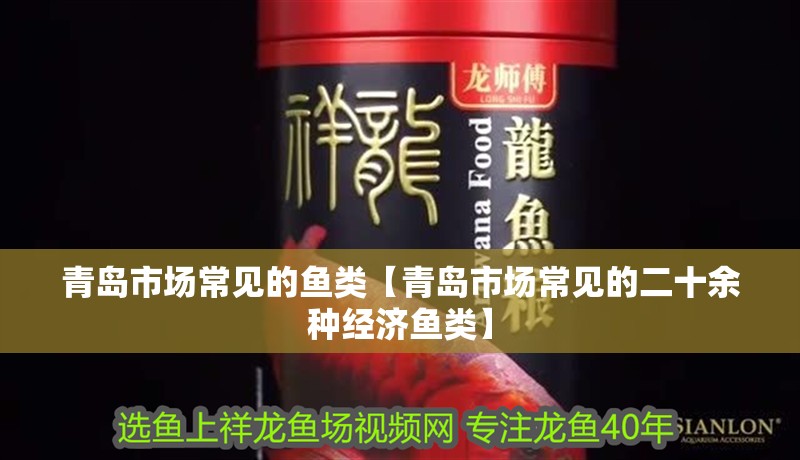 青島市場常見的魚類【青島市場常見的二十余種經濟魚類】
