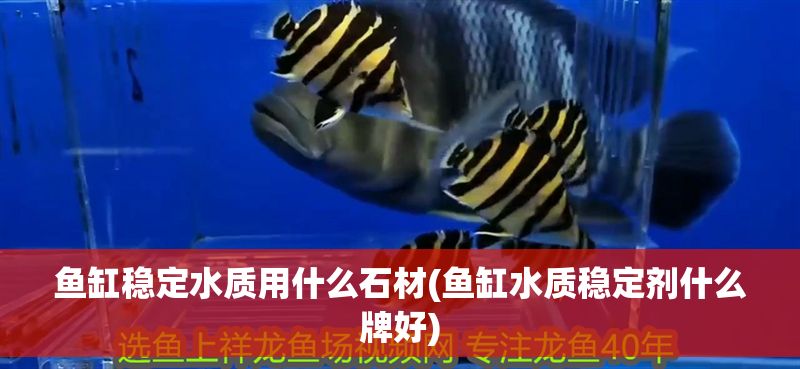 魚缸穩(wěn)定水質(zhì)用什么石材(魚缸水質(zhì)穩(wěn)定劑什么牌好)