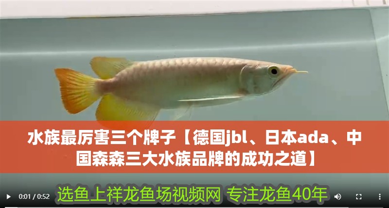 水族最厲害三個(gè)牌子【德國(guó)jbl、日本ada、中國(guó)森森三大水族品牌的成功之道】