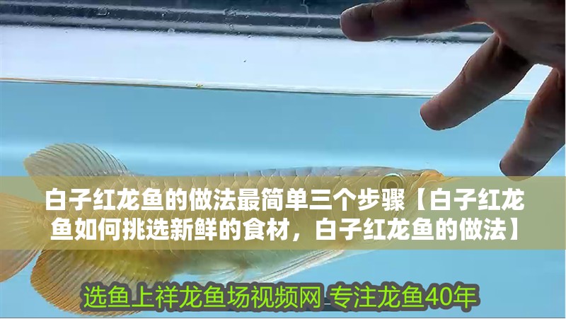 白子紅龍魚的做法最簡單三個步驟【白子紅龍魚如何挑選新鮮的食材，白子紅龍魚的做法】