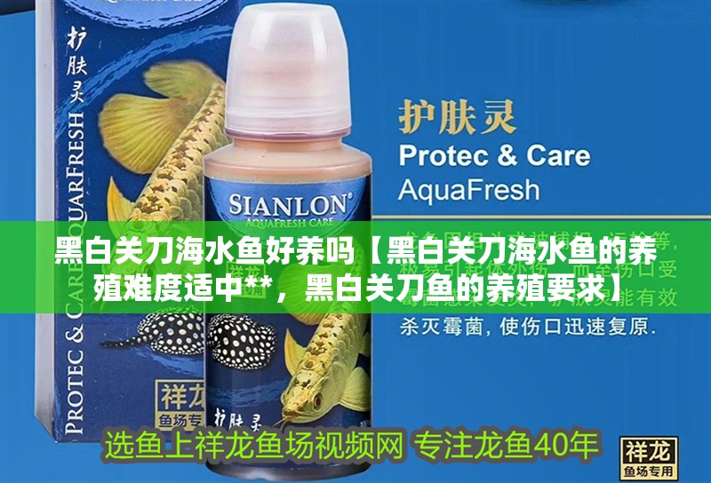 黑白關刀海水魚好養嗎【黑白關刀海水魚的養殖難度適中**，黑白關刀魚的養殖要求】