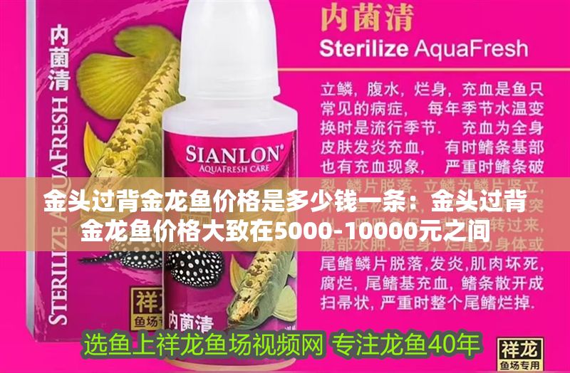 金頭過背金龍魚價格是多少錢一條：金頭過背金龍魚價格大致在5000-10000元之間