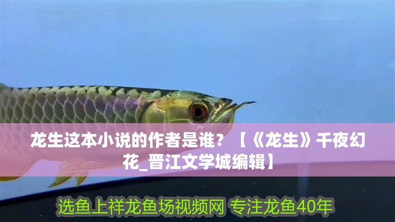 龍生這本小說的作者是誰？【《龍生》千夜幻花_晉江文學城編輯】