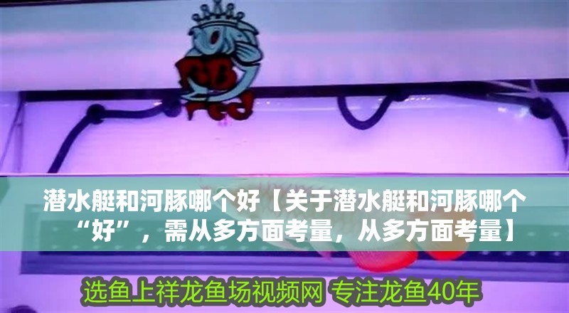 潛水艇和河豚哪個好【關于潛水艇和河豚哪個“好”，需從多方面考量，從多方面考量】