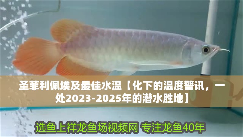 圣菲利佩埃及最佳水溫【化下的溫度警訊，一處2023-2025年的潛水勝地】