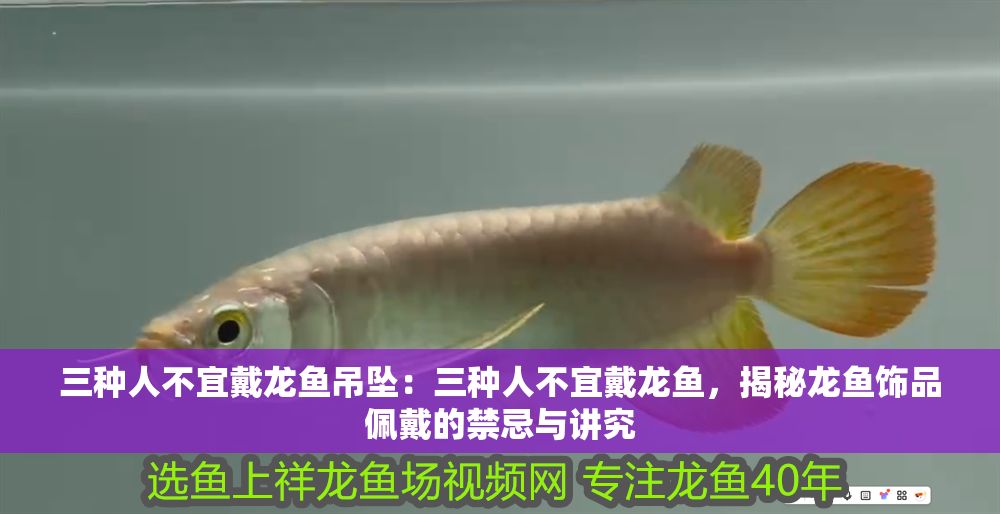 三種人不宜戴龍魚吊墜：三種人不宜戴龍魚，揭秘龍魚飾品佩戴的禁忌與講究