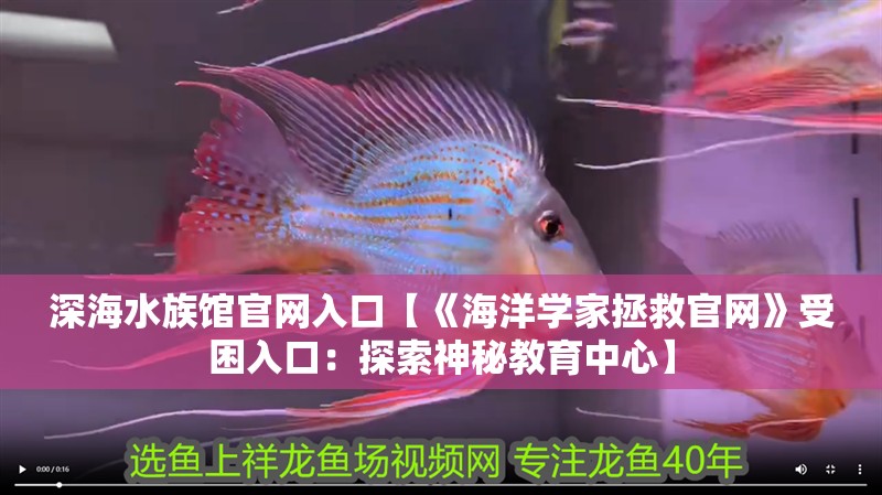 深海水族館官網入口【《海洋學家拯救官網》受困入口：探索神秘教育中心】