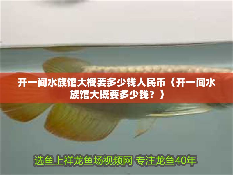 開一間水族館大概要多少錢人民幣（開一間水族館大概要多少錢？）