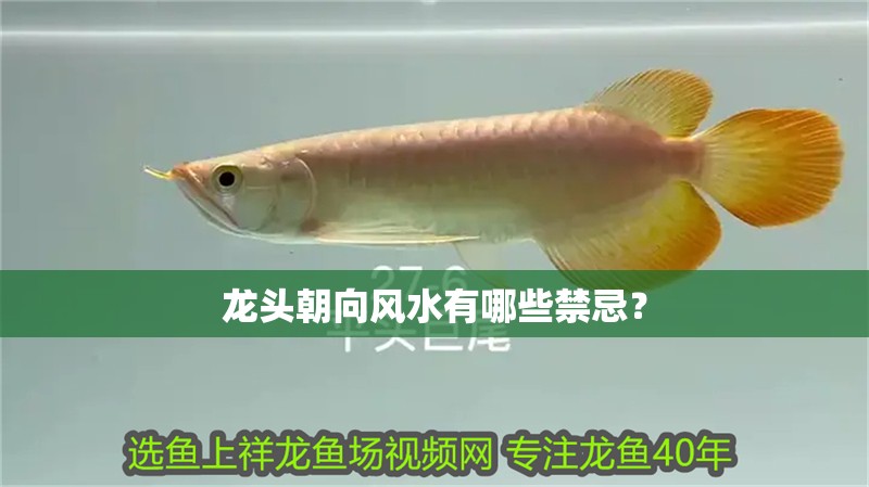 龍頭朝向風(fēng)水有哪些禁忌？