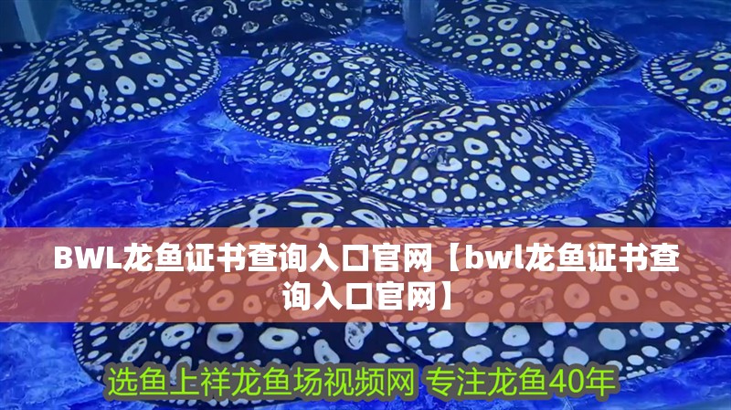BWL龍魚證書查詢入口官網【bwl龍魚證書查詢入口官網】