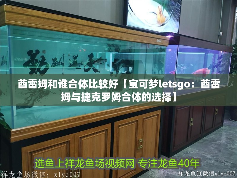 酋雷姆和誰合體比較好【寶可夢letsgo：酋雷姆與捷克羅姆合體的選擇】