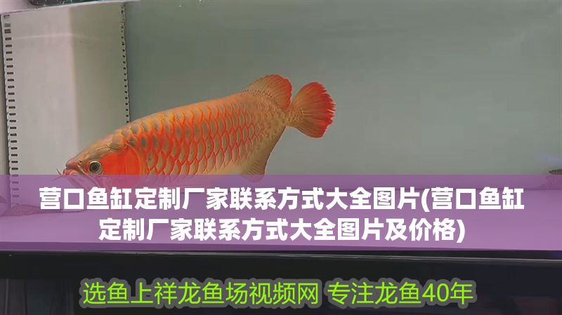 營口魚缸定制廠家聯系方式大全圖片(營口魚缸定制廠家聯系方式大全圖片及價格)