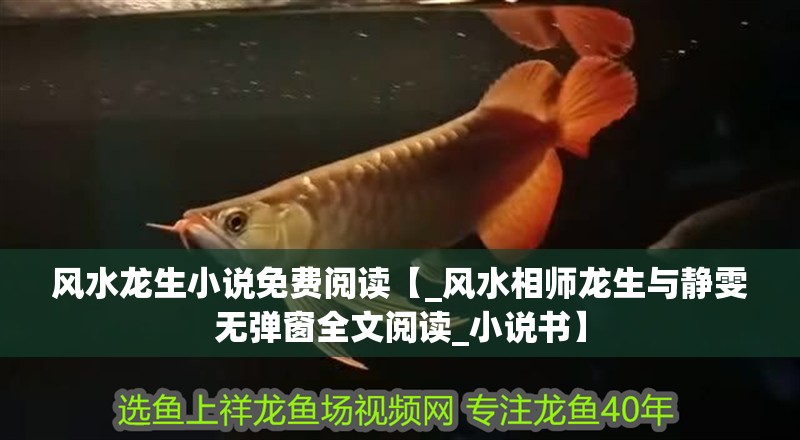 風(fēng)水龍生小說(shuō)免費(fèi)閱讀【_風(fēng)水相師龍生與靜雯無(wú)彈窗全文閱讀_小說(shuō)書(shū)】