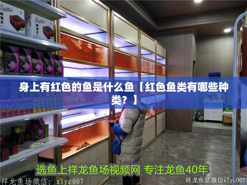 身上有紅色的魚(yú)是什么魚(yú)【紅色魚(yú)類(lèi)有哪些種類(lèi)？】