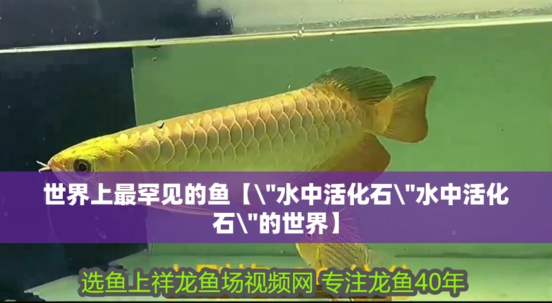 世界上最罕見的魚【\