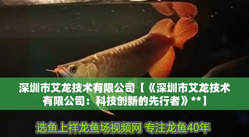 深圳市艾龍技術有限公司【《深圳市艾龍技術有限公司：科技創新的先行者》**】