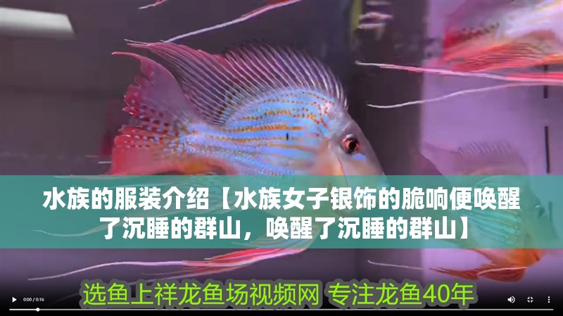 水族的服裝介紹【水族女子銀飾的脆響便喚醒了沉睡的群山，喚醒了沉睡的群山】