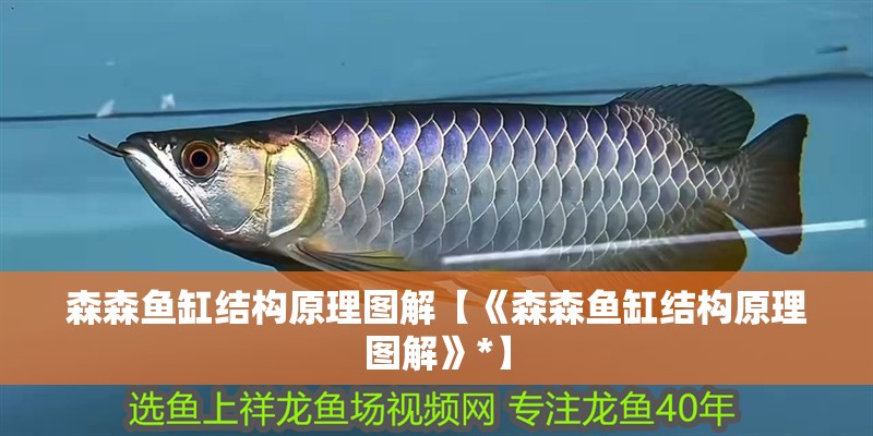 森森魚缸結構原理圖解【《森森魚缸結構原理圖解》*】