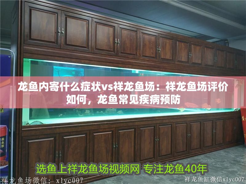 龍魚內寄什么癥狀vs祥龍魚場：祥龍魚場評價如何，龍魚常見疾病預防