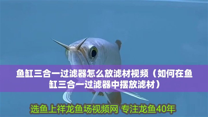 魚缸三合一過濾器怎么放濾材視頻（如何在魚缸三合一過濾器中擺放濾材）