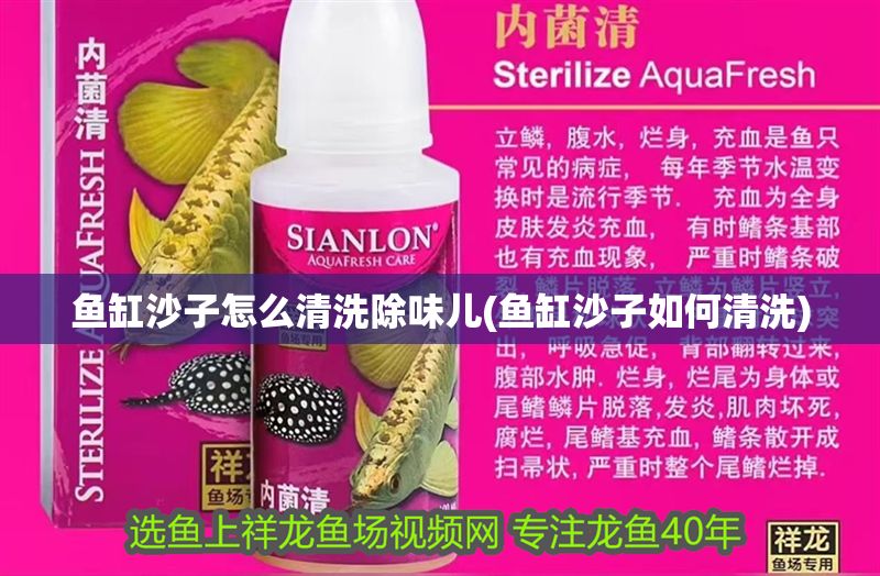 魚缸沙子怎么清洗除味兒(魚缸沙子如何清洗)