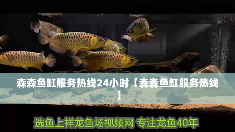 森森魚缸服務熱線24小時【森森魚缸服務熱線】