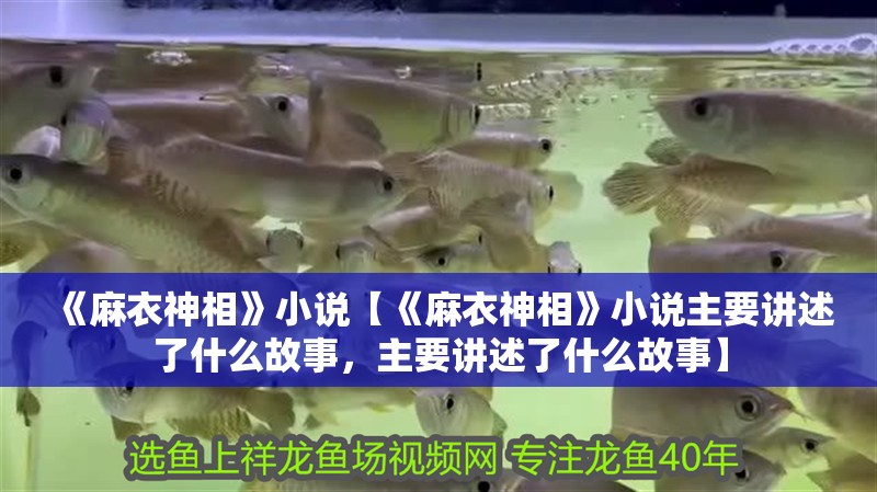 《麻衣神相》小說【《麻衣神相》小說主要講述了什么故事，主要講述了什么故事】