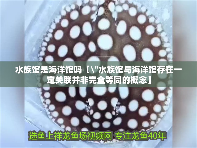 水族館是海洋館嗎【\