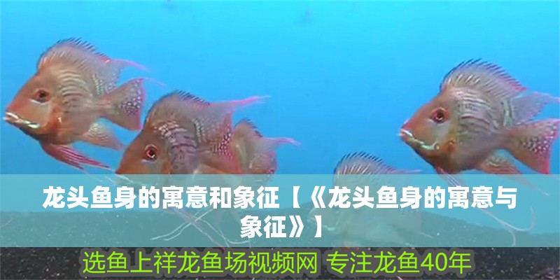 龍頭魚身的寓意和象征【《龍頭魚身的寓意與象征》】
