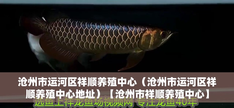 滄州市運河區祥順養殖中心（滄州市運河區祥順養殖中心地址）【滄州市祥順養殖中心】