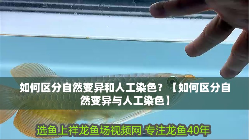如何區(qū)分自然變異和人工染色？【如何區(qū)分自然變異與人工染色】