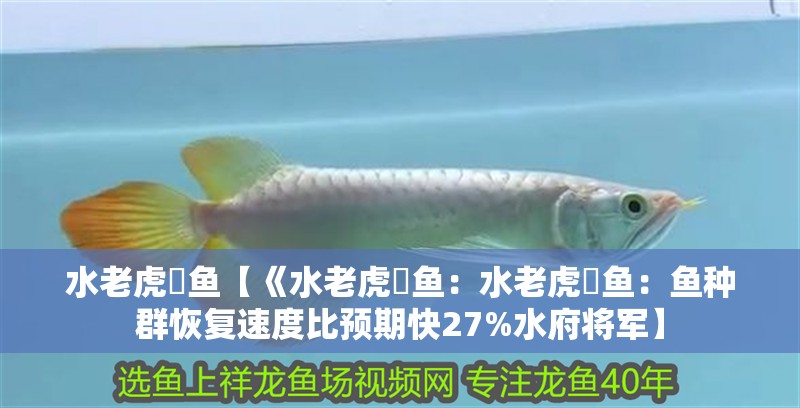 水老虎鳡魚【《水老虎鳡魚：水老虎鳡魚：魚種群恢復(fù)速度比預(yù)期快27%水府將軍】
