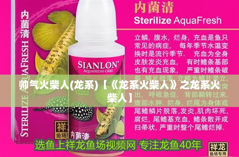 帥氣火柴人(龍系)【《龍系火柴人》之龍系火柴人】