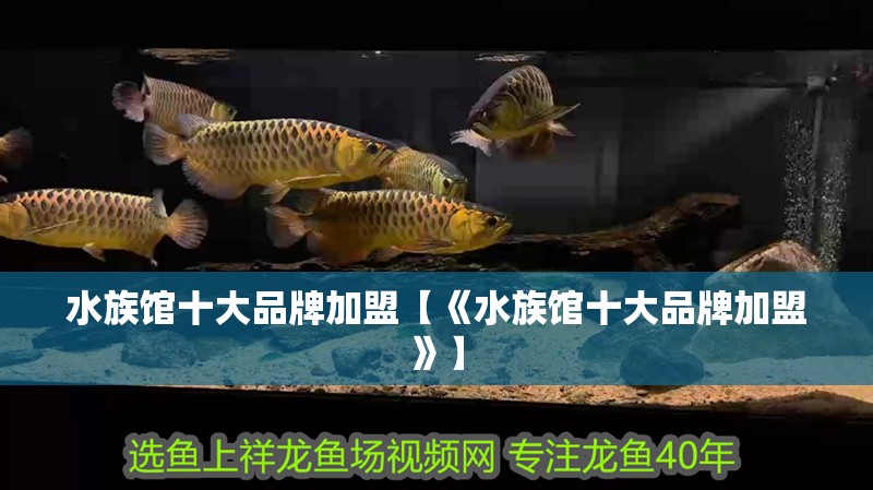 水族館十大品牌加盟【《水族館十大品牌加盟》】