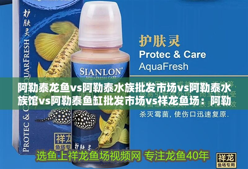 阿勒泰龍魚vs阿勒泰水族批發市場vs阿勒泰水族館vs阿勒泰魚缸批發市場vs祥龍魚場：阿勒泰水族批發市場 阿勒泰龍魚vs阿勒泰水族批發市場vs阿勒泰水族館vs阿勒泰魚缸批發市場vs祥龍魚場：阿勒泰水族批發市場 祥龍魚場各市分站 第2張