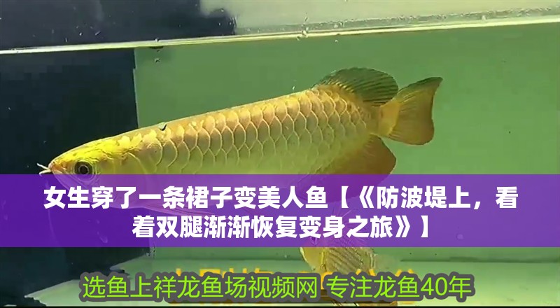 女生穿了一條裙子變美人魚【《防波堤上，看著雙腿漸漸恢復(fù)變身之旅》】